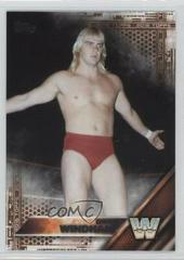 Barry Windham [Bronze] #54 Wrestling Cards 2016 Topps WWE Prices