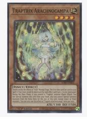 Traptrix Arachnocampa SDBT-EN002 YuGiOh Structure Deck: Beware of Traptrix Prices