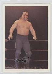 Road Warrior Animal #327 Wrestling Cards 1988 Wonderama NWA Prices