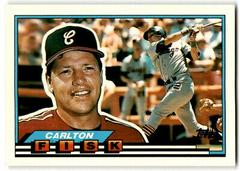 Carlton Fisk #24 Baseball Cards 1989 Topps Big Prices