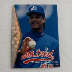 Pedro J. Martinez [Silver] #77 Baseball Cards 1995 SP Prices