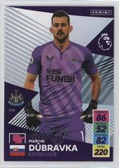 Martin Dubravka #245 Soccer Cards 2021 Panini Adrenalyn XL Premier League Prices