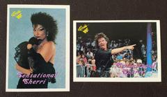 Sensational Queen Sherri Wrestling Cards 1989 Classic WWF Prices