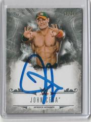 John Cena [Silver] Wrestling Cards 2016 Topps WWE Undisputed Autographs Prices