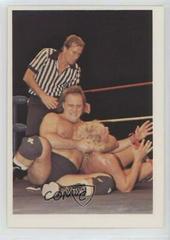 Larry Zbyszko, Kendall Windham Wrestling Cards 1988 Wonderama NWA Prices