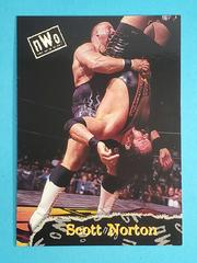 Scott Norton Wrestling Cards 1998 Topps WCW/nWo Prices