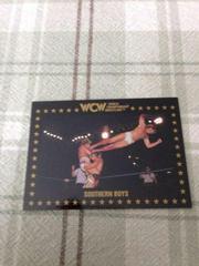 Southern Boys Wrestling Cards 1991 Championship Marketing WCW Prices