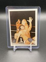 Kevin Sullivan vs Jimmy Garvin #250 Wrestling Cards 1988 Wonderama NWA Prices