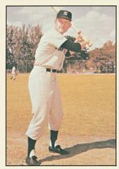 Bob Martyn #254 Baseball Cards 1979 TCMA Baseball History Series Prices