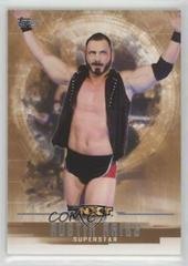 Austin Aries [Bronze] #43 Wrestling Cards 2017 Topps WWE Undisputed Prices