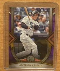 Anthony Rizzo [Amethyst] #21 Baseball Cards 2022 Topps Museum Collection Prices