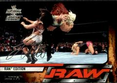 Lita Wrestling Cards 2002 Fleer WWE Raw vs Smackdown Prices