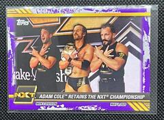 Adam Cole Retains the NXT Championship [Purple] #22 Wrestling Cards 2021 Topps WWE NXT Prices