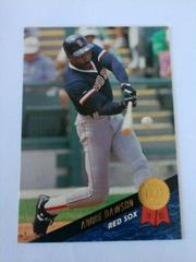 Andre Dawson #310 Baseball Cards 1993 Leaf Prices