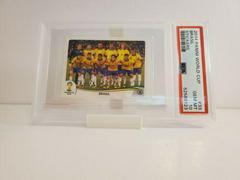Brasil Soccer Cards 2014 Panini World Cup Stickers Prices