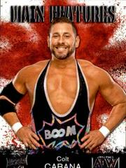 Colt Cabana Wrestling Cards 2021 Upper Deck AEW Main Features Prices