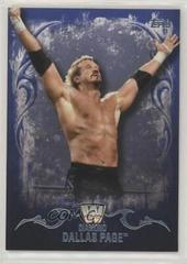 Diamond Dallas Page [Blue] Wrestling Cards 2016 Topps WWE Undisputed Prices