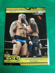 The Viking Raiders Make Their Debut [Gold] Wrestling Cards 2019 Topps WWE NXT Prices