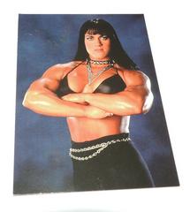 Chyna Wrestling Cards 1998 WWF Superstarz Autographs Prices