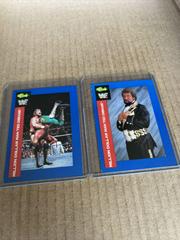 Ted DiBiase Wrestling Cards 1991 Classic WWF Prices