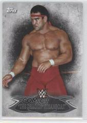 Ricky The Dragon Steamboat Wrestling Cards 2015 Topps WWE Undisputed Prices