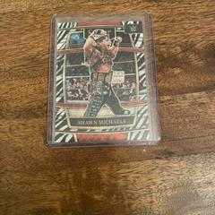 Shawn Michaels [Zebra Prizm] Wrestling Cards 2022 Panini Select WWE Prices