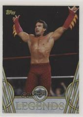 Ricky 'The Dragon' Steamboat Wrestling Cards 2018 Topps Legends of WWE Prices