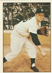 Ryne Duren #135 Baseball Cards 1979 TCMA Baseball History Series Prices