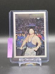 Butch Miller #42 Wrestling Cards 1988 Wonderama NWA Prices