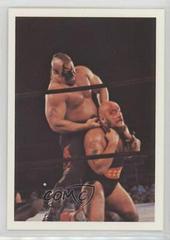 Road Warrior Animal, Ivan Koloff Wrestling Cards 1988 Wonderama NWA Prices