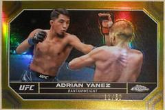 Adrian Yanez [Gold Refractor] #2 Ufc Cards 2024 Topps Chrome UFC Prices