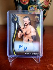 Adam Cole [Bronze] #A-AC Wrestling Cards 2019 Topps WWE NXT Autographs Prices