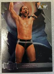Adam Cole #3 Wrestling Cards 2022 SkyBox Metal Universe AEW Prices