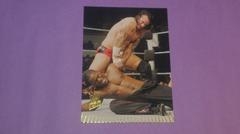 CM Punk #53 Wrestling Cards 2007 Topps Action WWE Prices