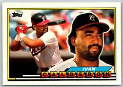 Ivan Calderon #289 Baseball Cards 1989 Topps Big Prices