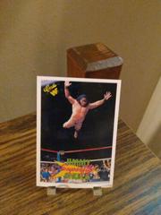 Superfly Jimmy Snuka Wrestling Cards 1990 Classic WWF Prices