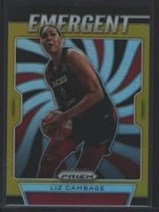 Liz Cambage [Prizm Gold] Basketball Cards 2020 Panini Prizm WNBA Emergent Prices