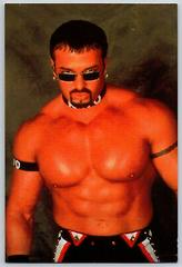 Buff Bagwell #57 Wrestling Cards 1998 Panini WCW/nWo Photocards Prices