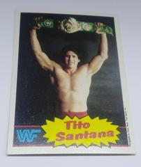 Tito Santana Wrestling Cards 1986 Scanlens WWF Prices