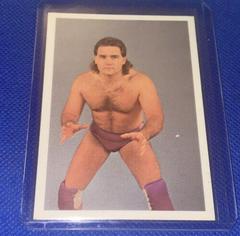 Larry Stephens Wrestling Cards 1988 Wonderama NWA Prices