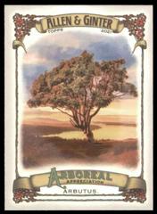 Arbutus Baseball Cards 2021 Topps Allen & Ginter Arboreal Appreciation Prices