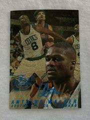 Antoine Walker [Row 0] #26 Basketball Cards 1996 Flair Showcase Legacy Collection Prices
