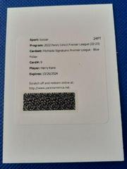 Harry Kane [Blue Pulsar] #PS-HKA Soccer Cards 2022 Panini Select Premier League Pitchside Signatures Prices