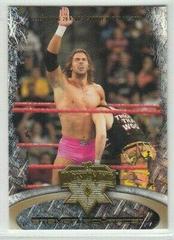 Steven Richards [Gold] Wrestling Cards 2004 Fleer WWE WrestleMania XX Prices