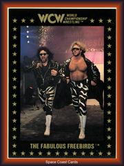 The Fabulous Freebirds Wrestling Cards 1991 Championship Marketing WCW Prices