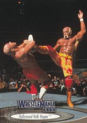 Hulk Hogan #29 Wrestling Cards 2003 Fleer WWE WrestleMania XIX Prices