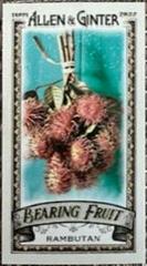 Rambutan Baseball Cards 2022 Topps Allen & Ginter Mini Bearing Fruit Prices