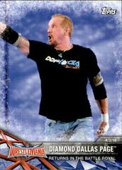 Diamond Dallas Page Wrestling Cards 2017 Topps WWE Road To Wrestlemania Prices