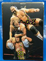Steiner Brothers Wrestling Cards 1994 Action Packed WWF Prices
