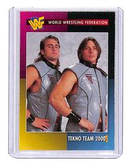 Tekno Team 2000 [Travis & Troy] Wrestling Cards 1995 WWF Magazine Prices